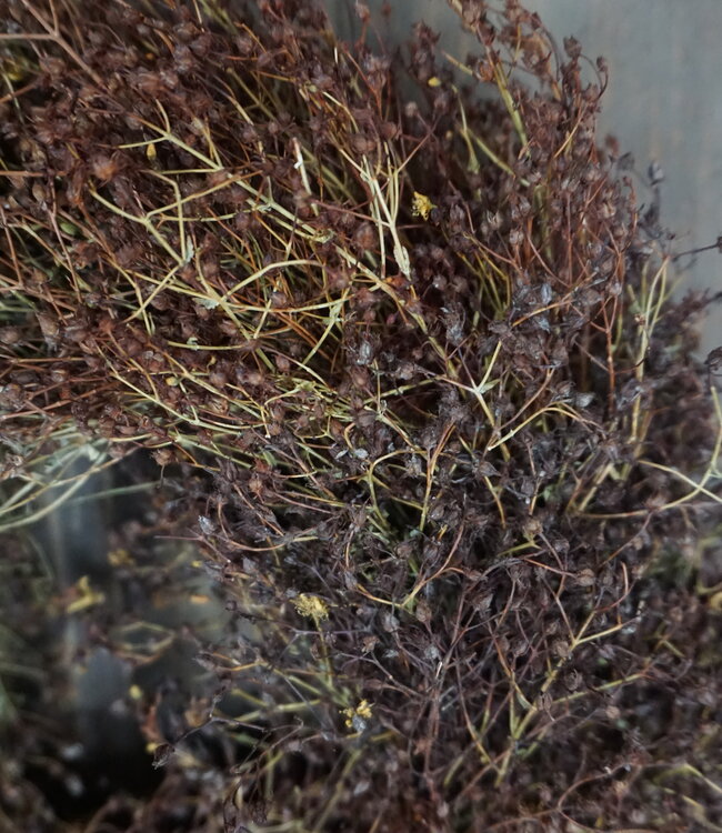 Rene Houtman Natuurlijke Krans Herfst | D30 cm