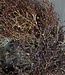 Rene Houtman Natuurlijke Krans Herfst | D30 cm