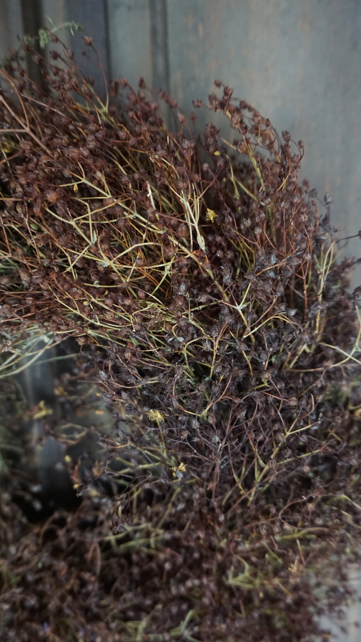 Rene Houtman Natuurlijke Krans Herfst | D30 cm