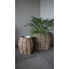 Plantenmand Bloembak Rotan | Set Van 2