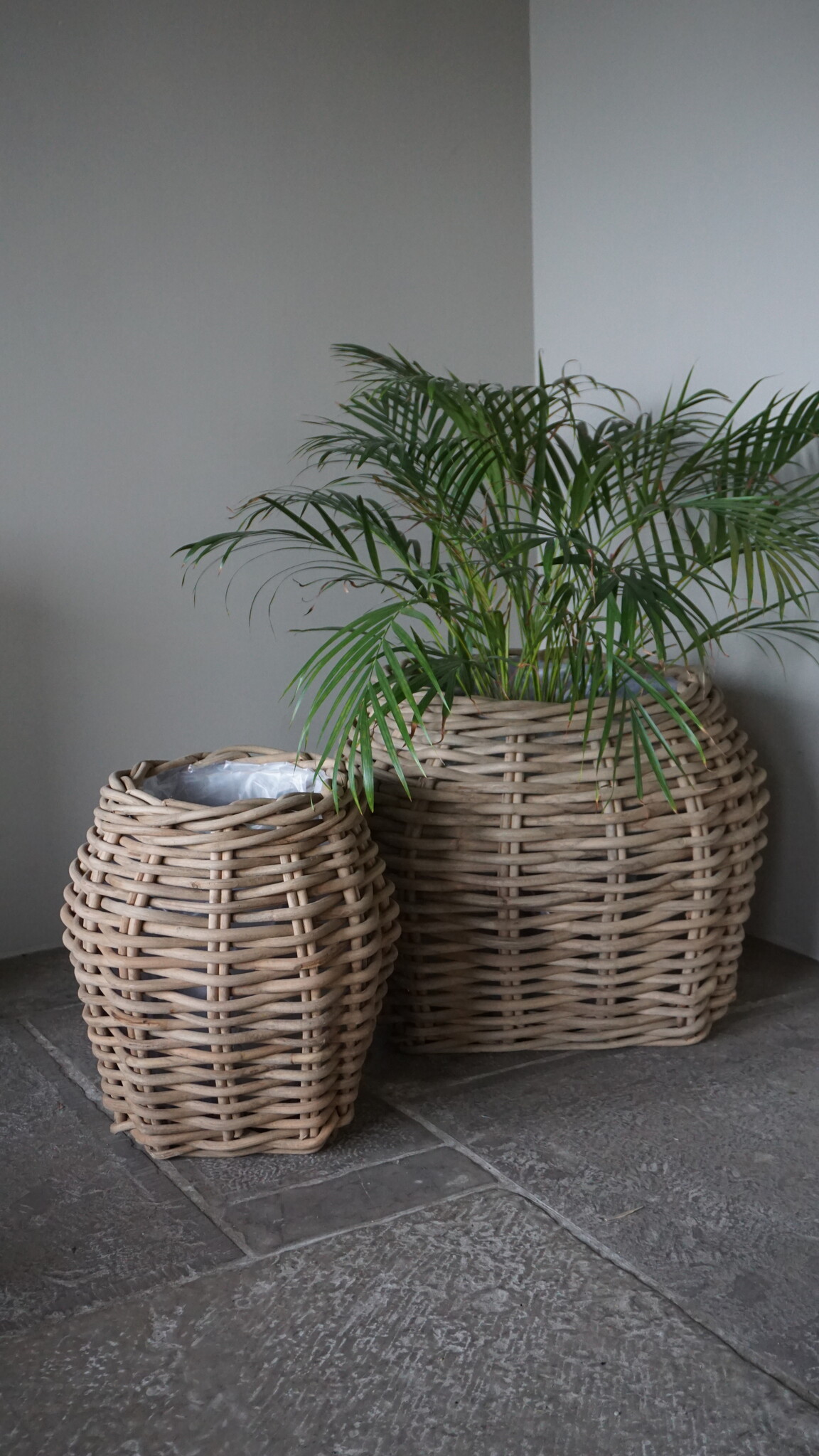 Rene Houtman Plantenmand Bloembak Rotan | Set Van 2