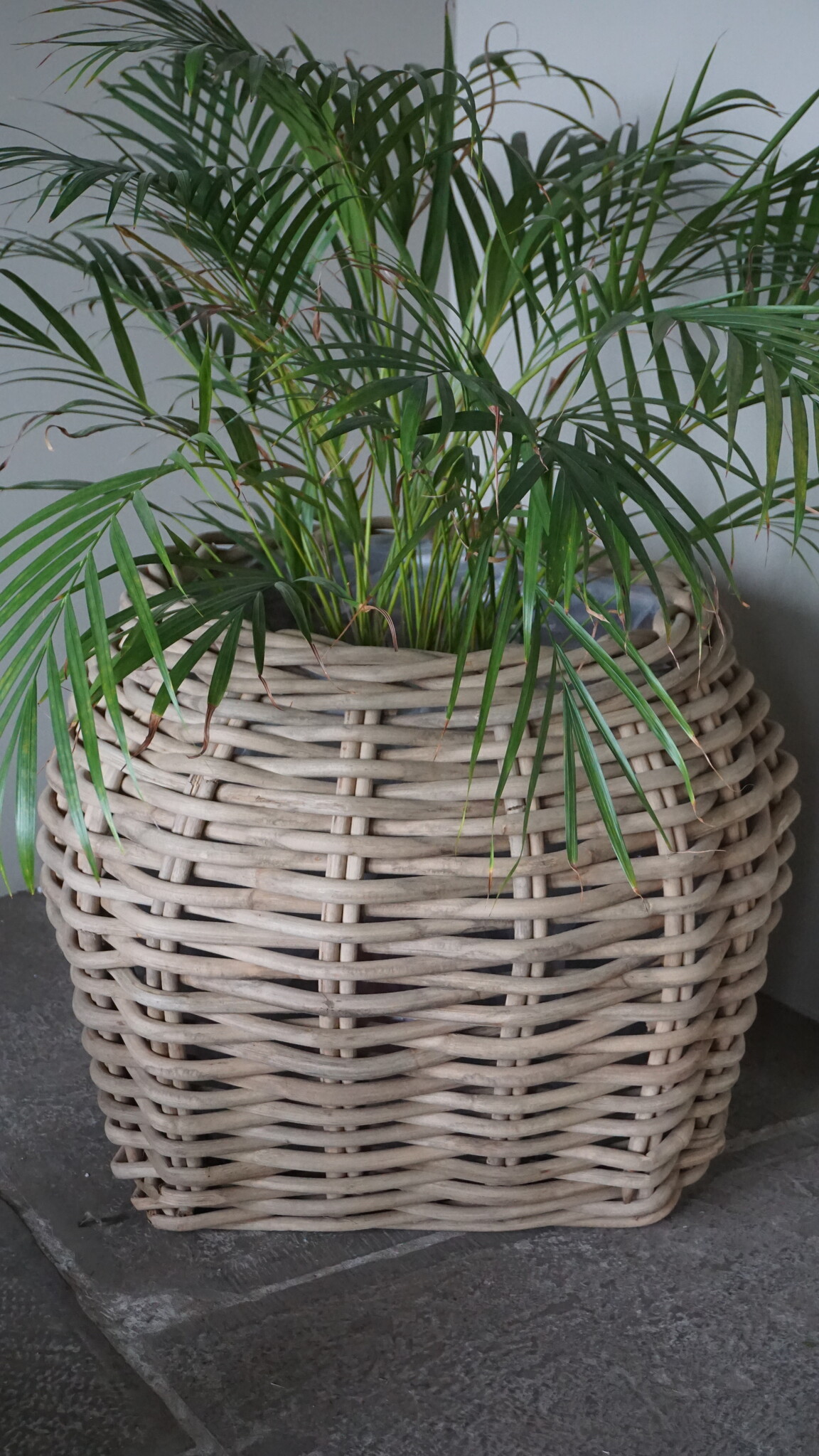 Rene Houtman Plantenmand Bloembak Rotan | Set Van 2