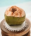Bazar Bizar De Seagrass Shell Pannenonderzetter - Wit
