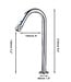 Rene Houtman Koudwater Fonteinkraan | Chroom | H21 cm