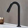 Koudwater Fonteinkraan | Zwart | H21 cm