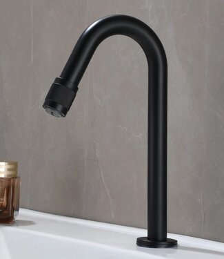 Rene Houtman Koudwater Fonteinkraan | Zwart | H21 cm