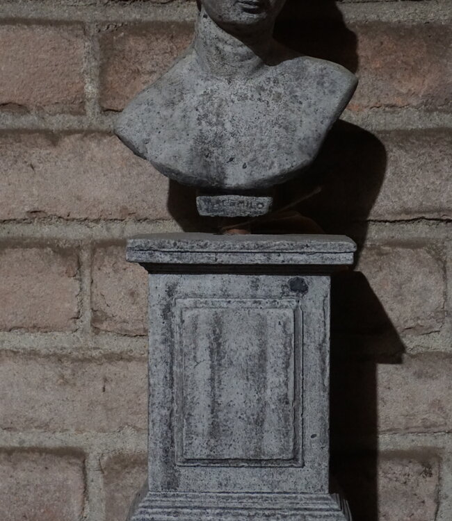 Il Cupido Borstbeeld | Beton | H39 x B12 x D7 cm