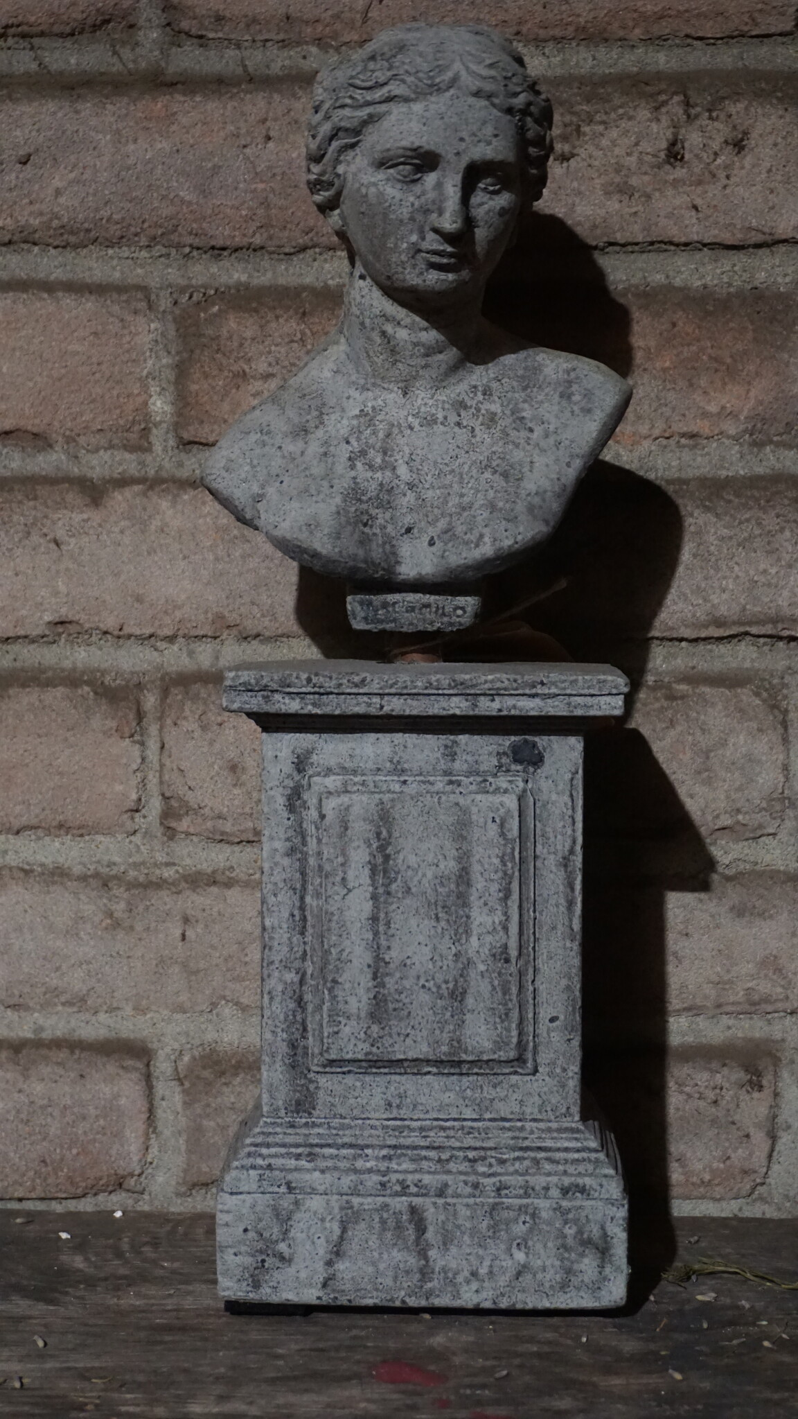 Il Cupido Borstbeeld | Beton | H39 x B12 x D7 cm