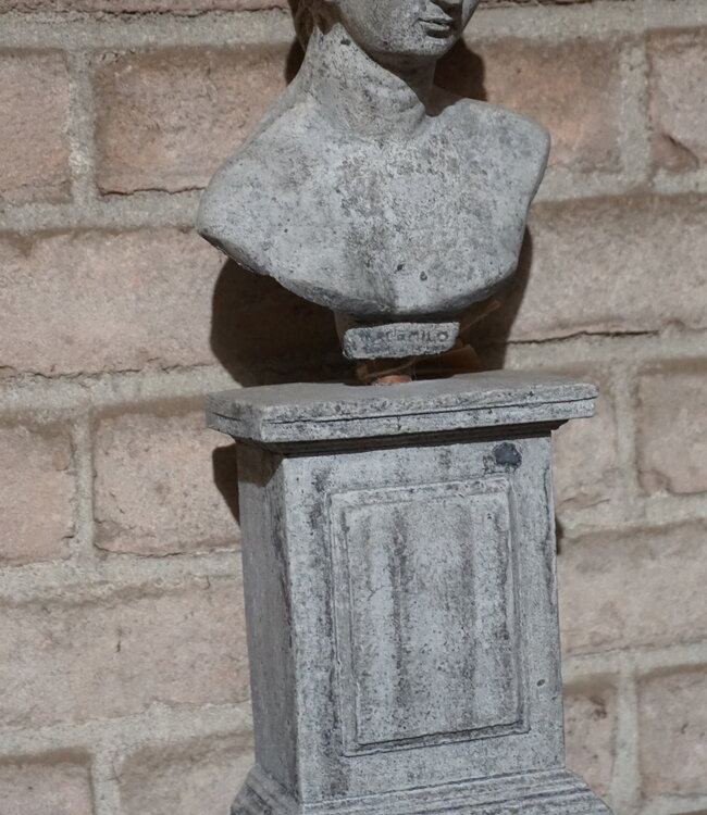 Il Cupido Borstbeeld | Beton | H39 x B12 x D7 cm