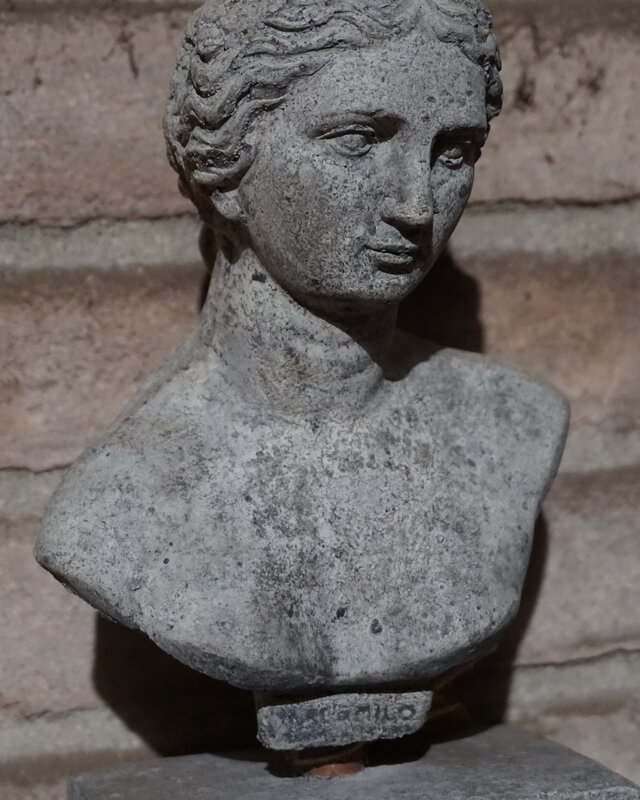 Il Cupido Borstbeeld | Beton | H39 x B12 x D7 cm