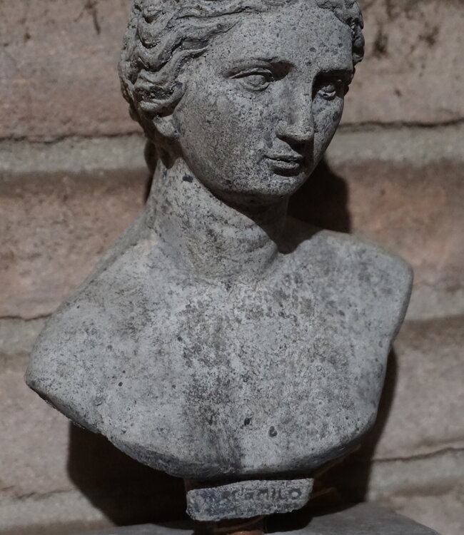 Il Cupido Borstbeeld | Beton | H39 x B12 x D7 cm