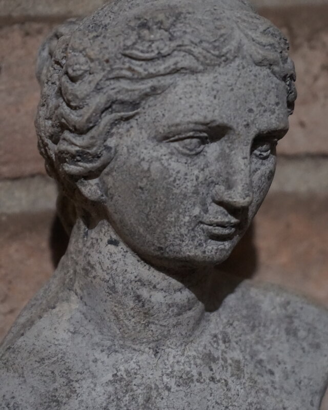Il Cupido Borstbeeld | Beton | H39 x B12 x D7 cm