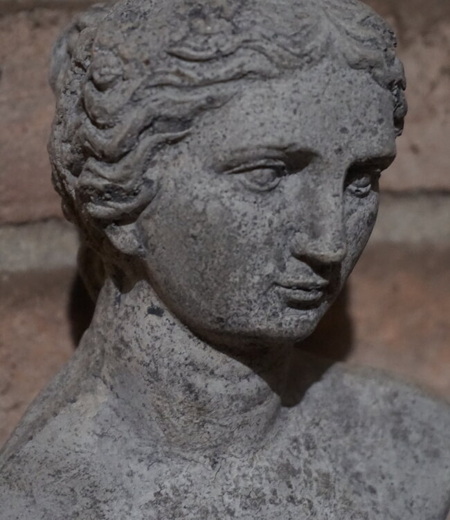 Il Cupido Borstbeeld | Beton | H39 x B12 x D7 cm