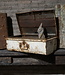 Rene Houtman Antieke Metalen Koffer | H25 x B61 x D36 cm