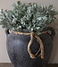 Brynxz Kunstbloem Senecio | Brons | H30 cm