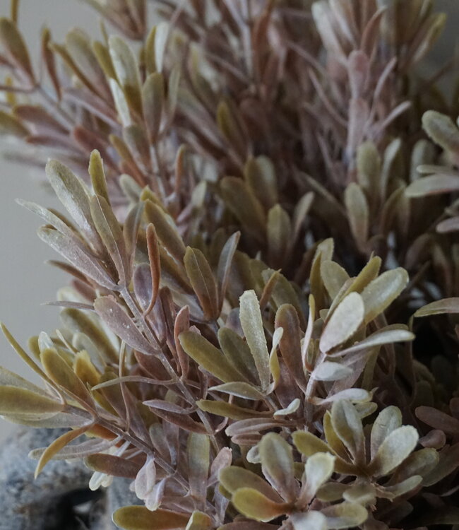 Brynxz Kunstbloem Myrica | Brons | H30 cm