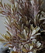 Brynxz Kunstbloem Myrica | Brons | H30 cm