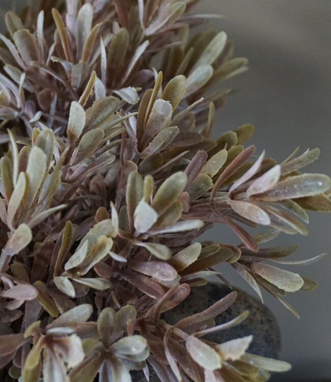 Brynxz Kunstbloem Myrica | Brons | H30 cm