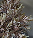 Brynxz Kunstbloem Myrica | Brons | H30 cm