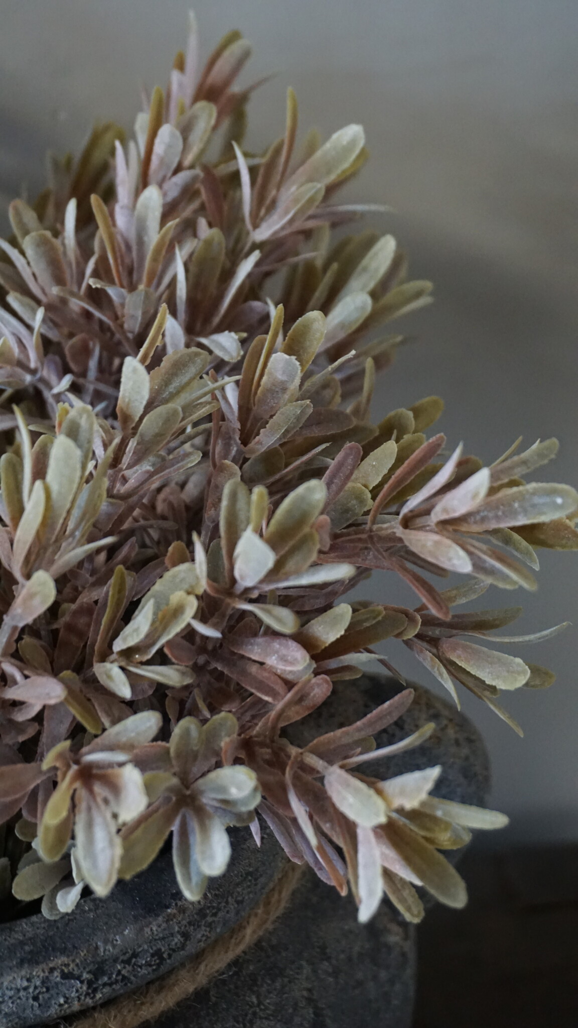 Brynxz Kunstbloem Myrica | Brons | H30 cm
