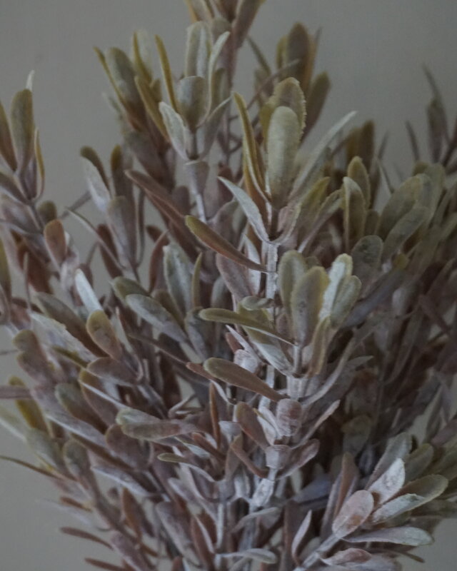 Brynxz Kunstbloem Myrica | Brons | H30 cm