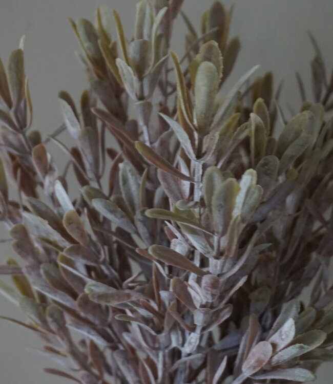 Brynxz Kunstbloem Myrica | Brons | H30 cm