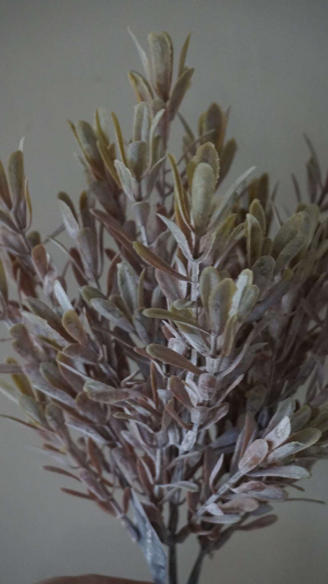 Brynxz Kunstbloem Myrica | Brons | H30 cm