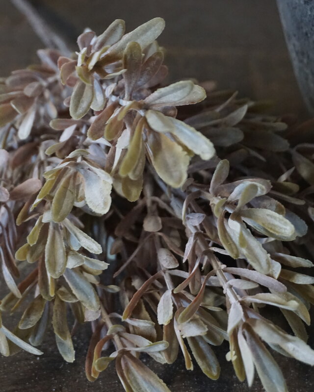 Brynxz Kunstbloem Myrica | Brons | H30 cm