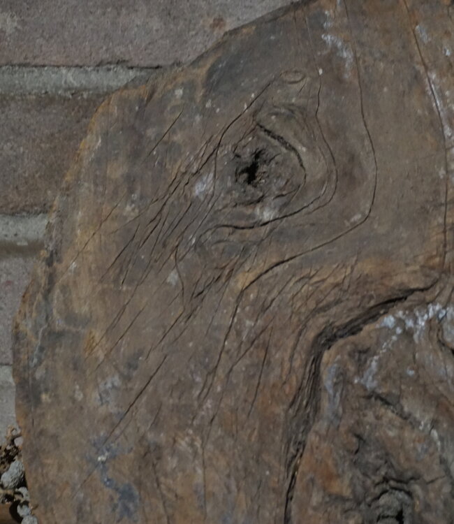 Rene Houtman Houten Display | H43 x B27 cm