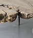 Be-Uniq Oude Salontafel Organisch | China | H31xB109xD76 cm