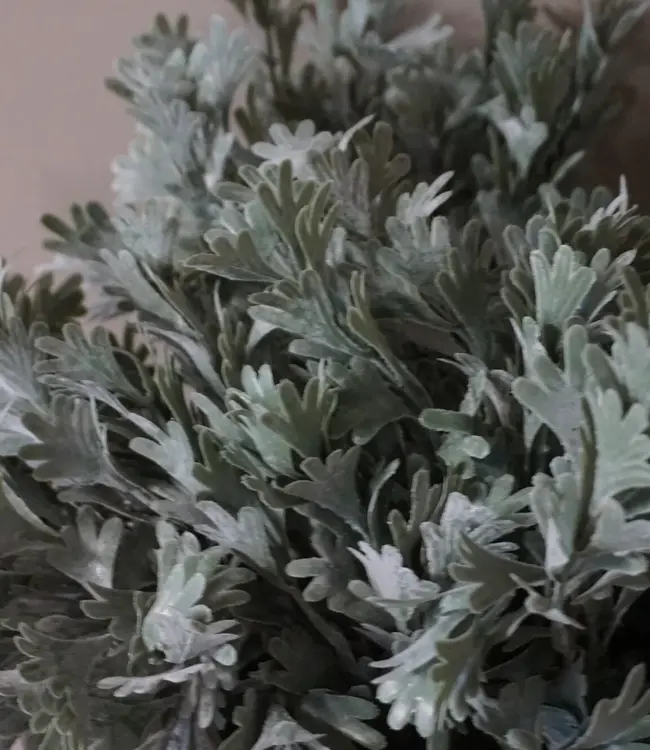 Brynxz Kunstbloem Senecio | Grijs | H30 cm