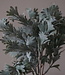 Brynxz Kunstbloem Senecio | Grijs | H30 cm