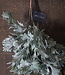 Brynxz Kunstbloem Senecio | Grijs | H30 cm