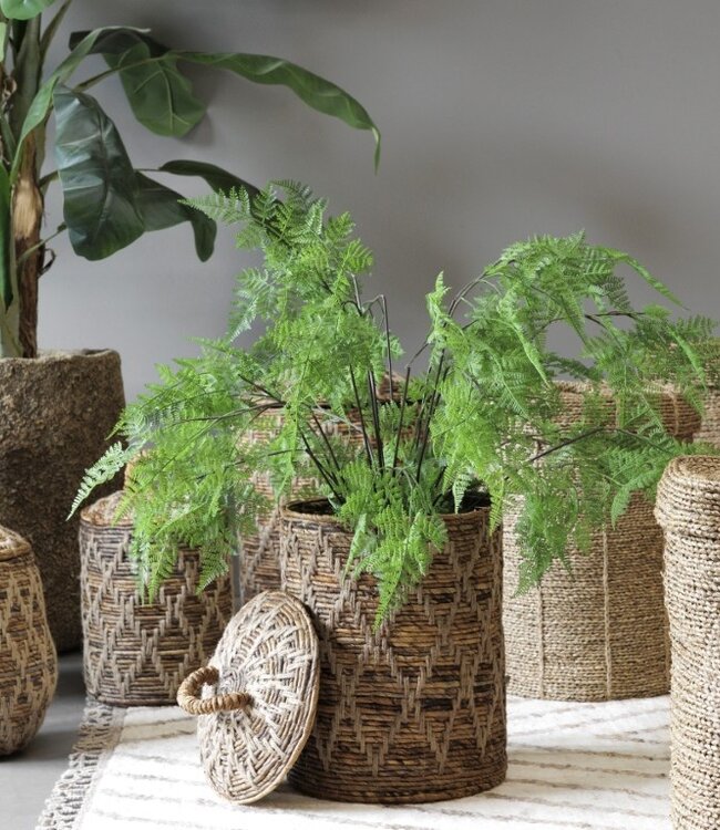 Be-Uniq Set Van 2 Manden Met Deksel | Bananenblad