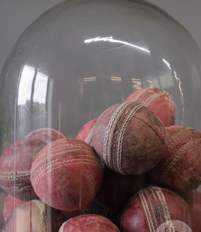 Be-Uniq Glazen Stolp XL | Maastricht | H45 x D30 cm