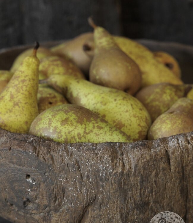 Be-Uniq Organische Bowl | Sanana | H18 x D30