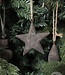 Be-Uniq Kerstornament | Houten Ster | Set van 10 | Large