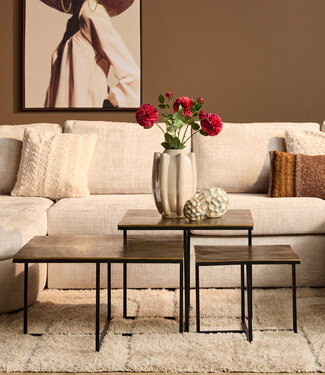 Starfurn Salontafel Joelle | Set van 3 | Aluminium