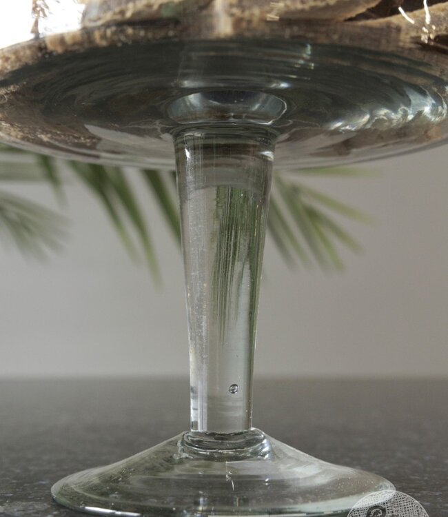 Be-Uniq Glaspot Op Voet | Vlissingen | Glass Collection