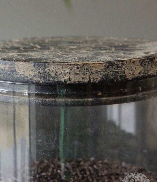 Be-Uniq Glaspot Nijmegen | Small | Set Van 4 | Glass Collection