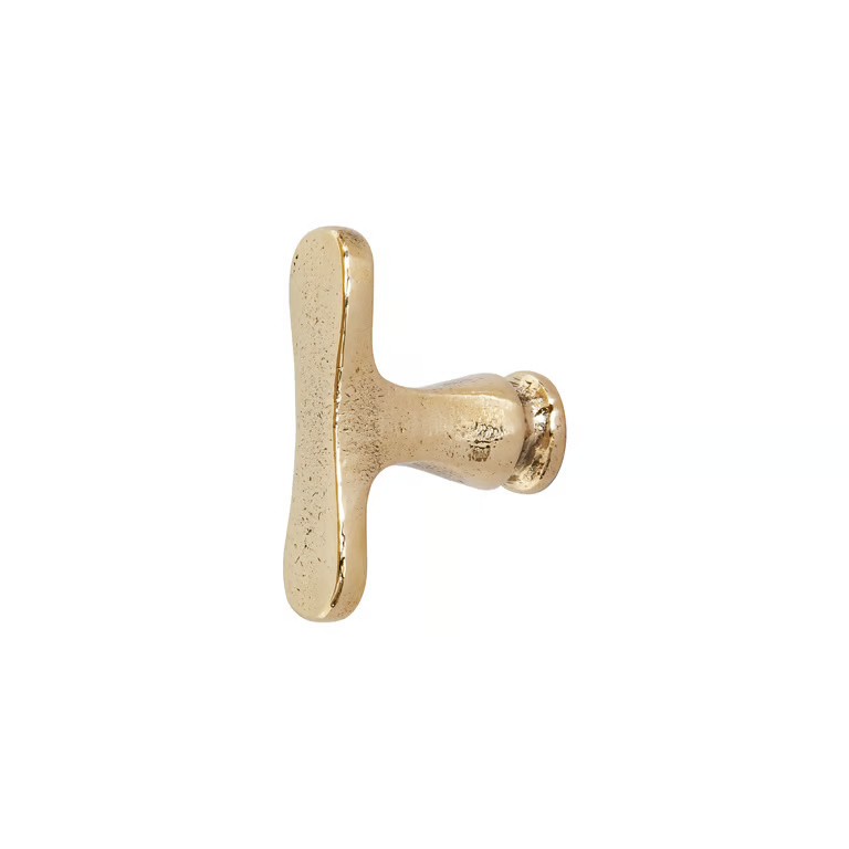 Dauby STUK MEUBELKNOP PBU-45 RUW BRONS GEPOLIJST (RBP) 45mm