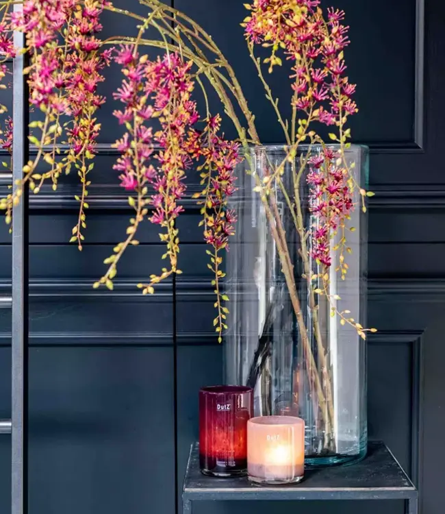 DutZ Cilinder C7 | Helder | H60 x D28 cm