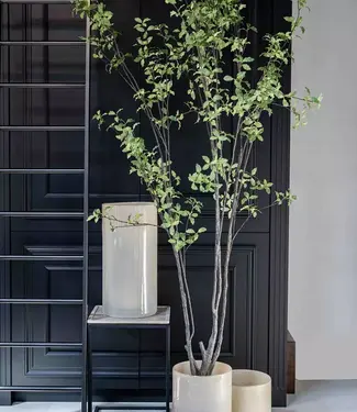 DutZ Cilinder C7 | Beige | 3 Maten