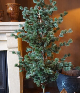 Brynxz Larix Boom | Large | Grijsgroen | H160 cm