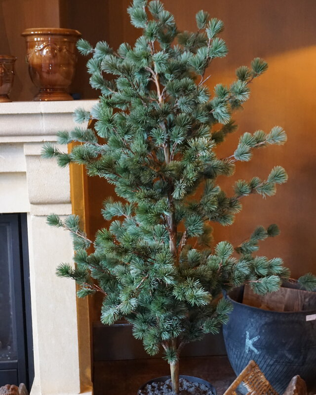 Rene Houtman Larix Boom | Large | Grijsgroen | H160 cm