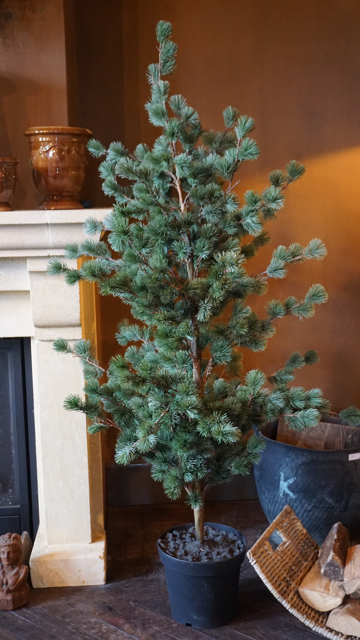 Rene Houtman Larix Boom | Large | Grijsgroen | H160 cm