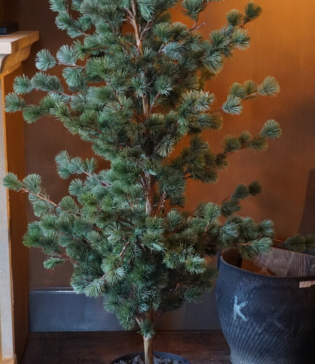 Rene Houtman Larix Boom | Large | Grijsgroen | H160 cm