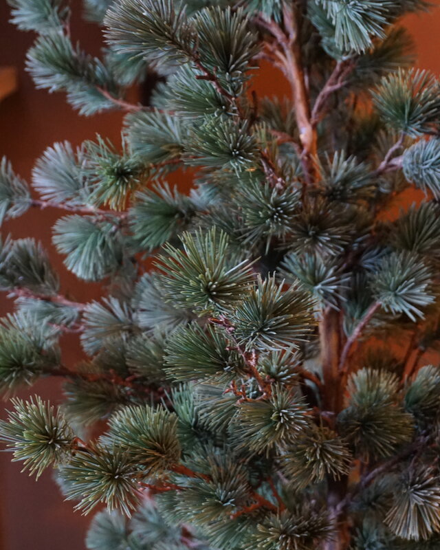Rene Houtman Larix Boom | Large | Grijsgroen | H160 cm