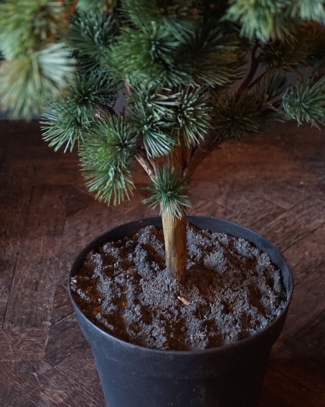 Rene Houtman Larix Boom | Large | Grijsgroen | H160 cm