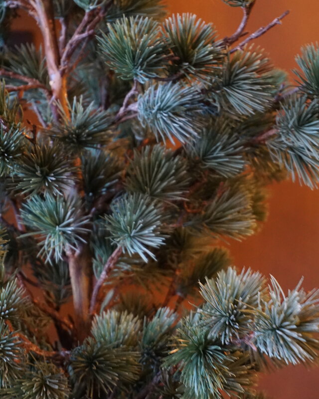 Rene Houtman Larix Boom | Large | Grijsgroen | H160 cm
